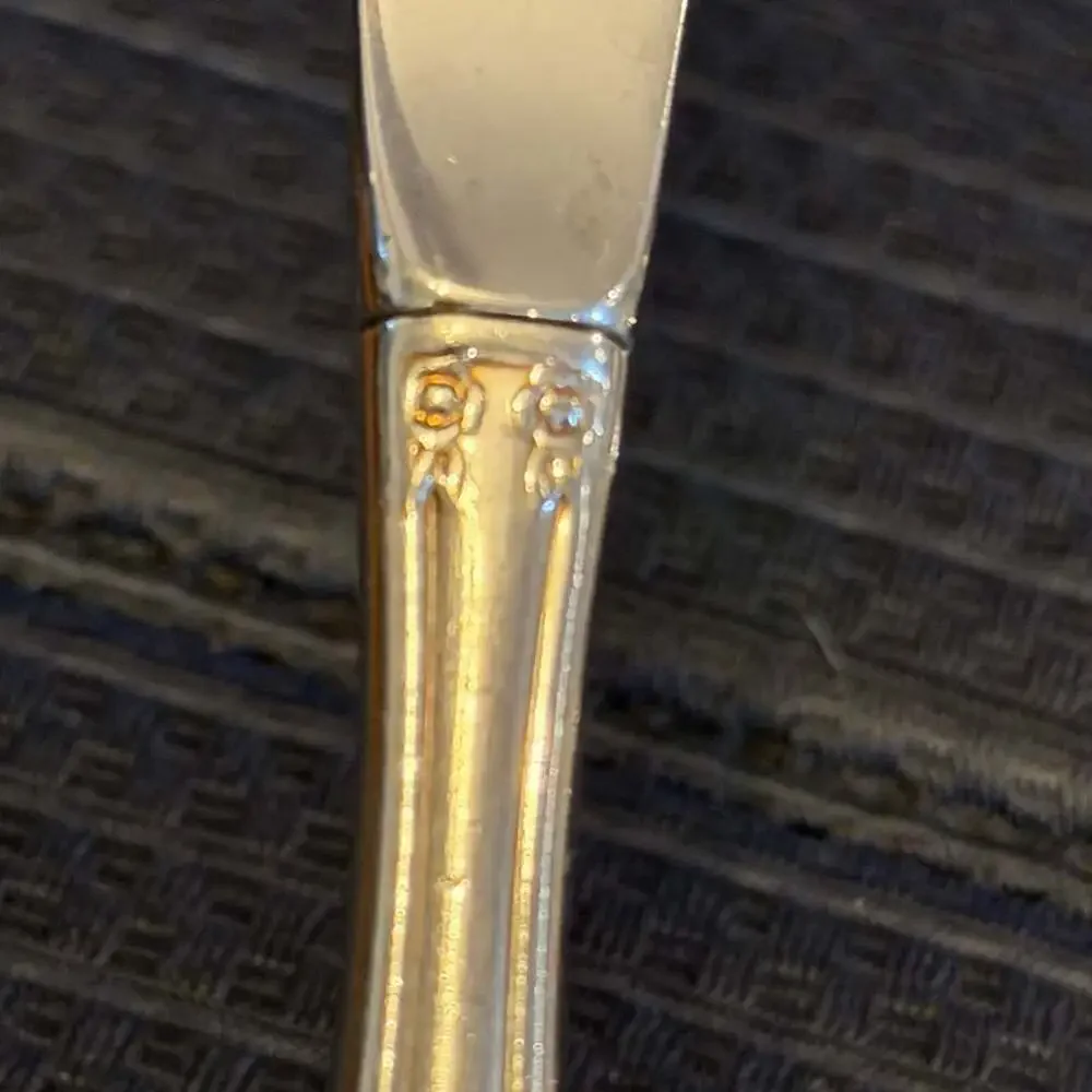 Oneida community stainless